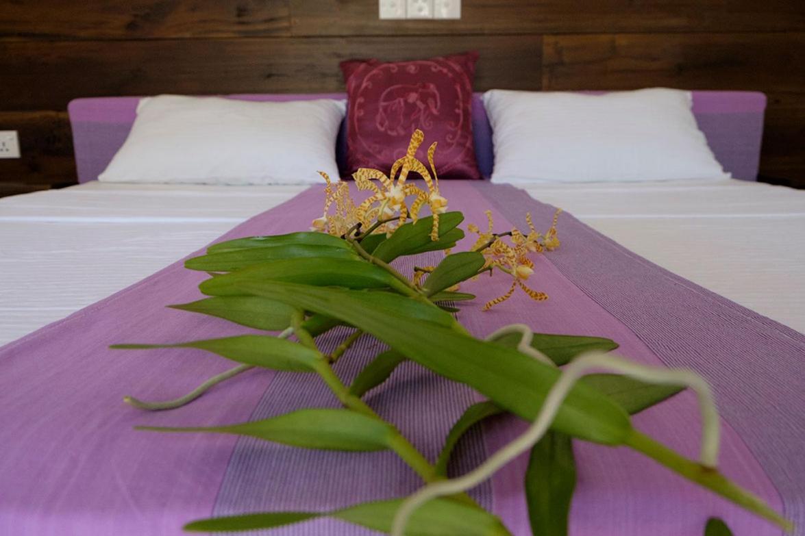 Sanda Eliya Resort ベントータ エクステリア 写真