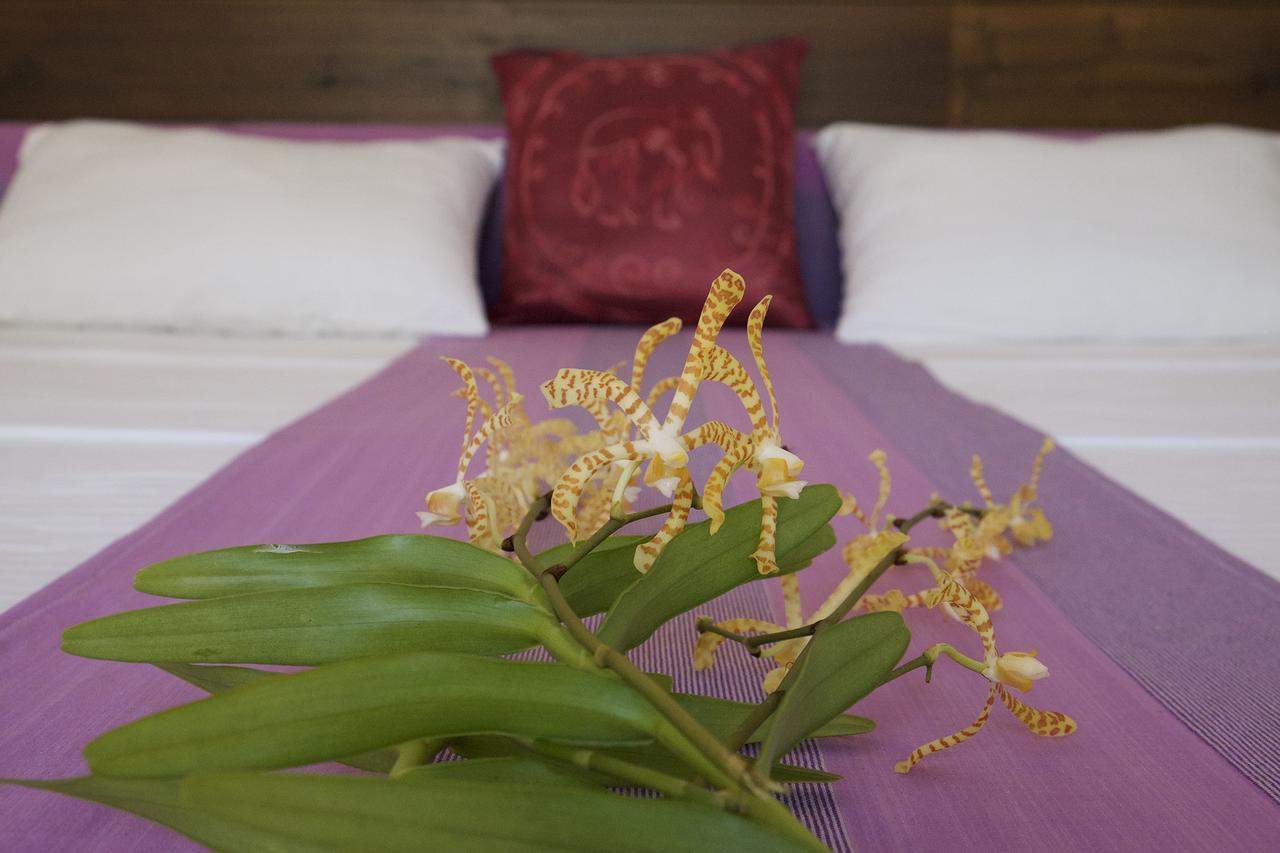 Sanda Eliya Resort ベントータ エクステリア 写真