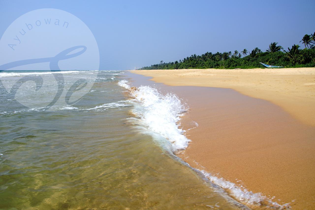 Sanda Eliya Resort ベントータ エクステリア 写真